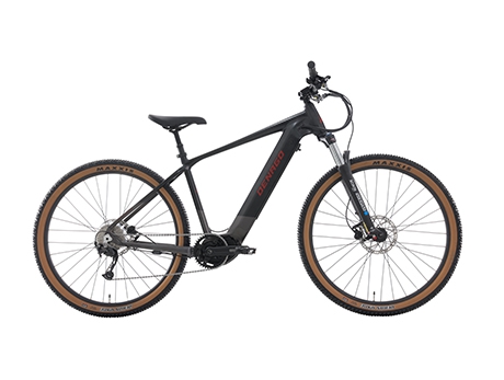 DENAGO EXC2 EMTB MOUNTAIN EBIKE
